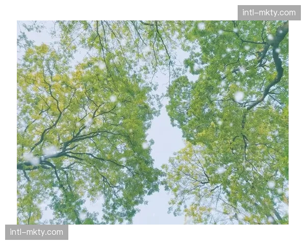 卡塔尔重蹈覆辙还是触底反弹，中东豪门急需挽回颜面